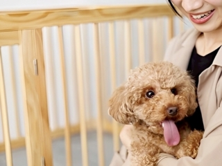 ドッグラン付き・メゾネット／ツイン＜寝室2階＞