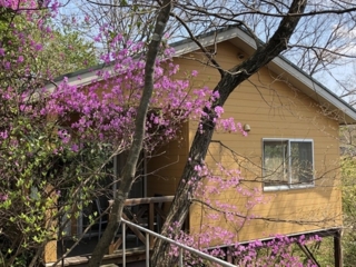 ペットと泊まれる一棟貸しコテージ※駐車場にドッグラン有※