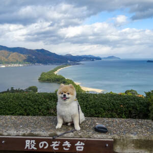 日本三景 天橋立