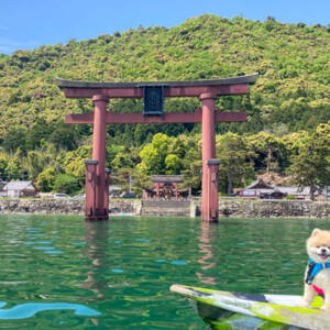 白髭神社参拝カヌー