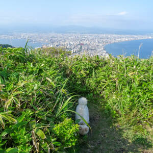 函館山要塞跡