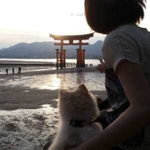 世界遺産 厳島神社