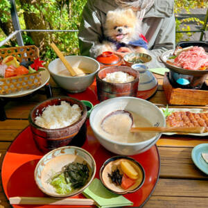 飛騨高山じねんのむら茶茶