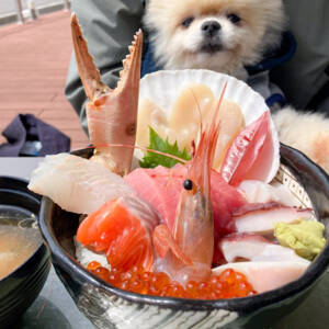 南三陸さんさん商店街