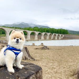 タウシュベツ川橋梁