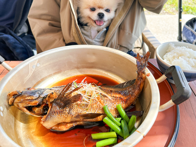 漁港食堂 だいぼ