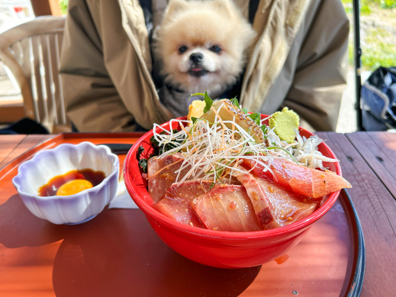 漁港食堂 だいぼ