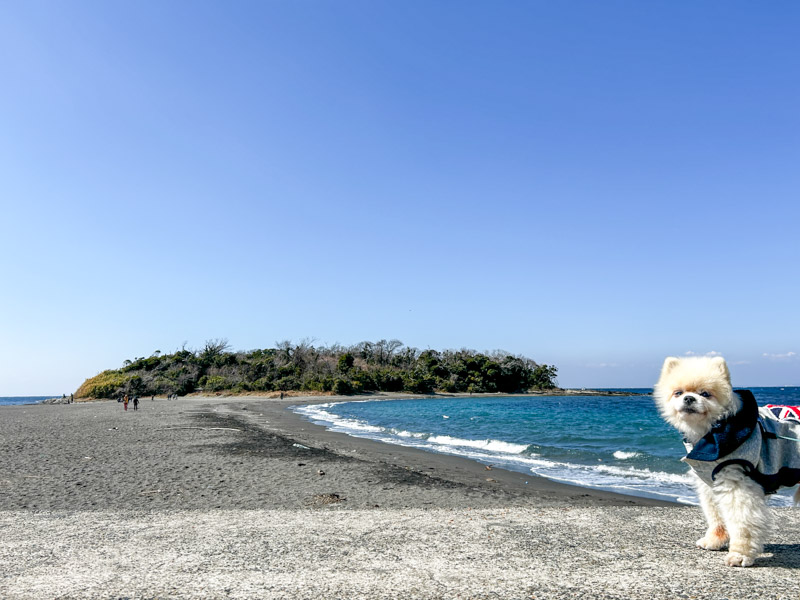 沖ノ島