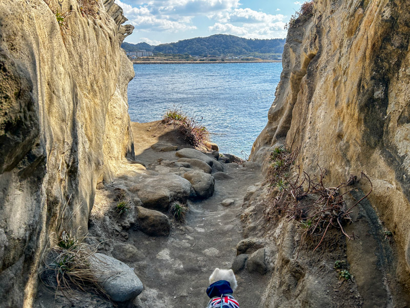 沖ノ島