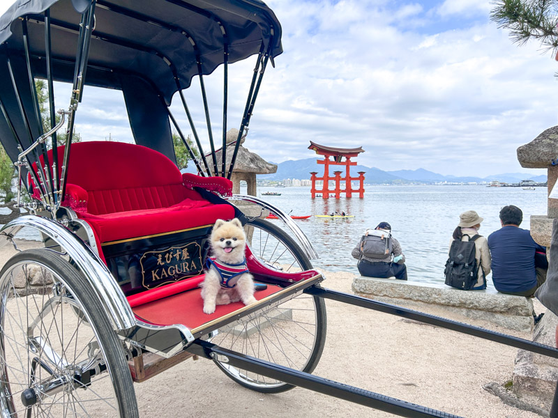 厳島神社 人力車