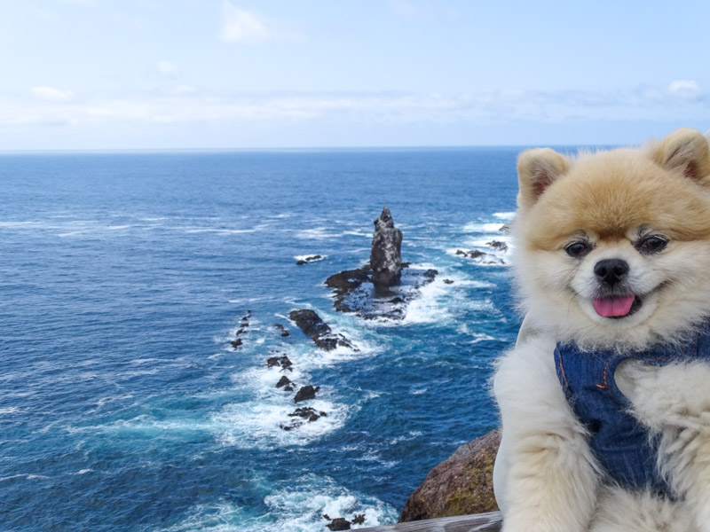 岩礁の上に立つ神秘的な神威岩