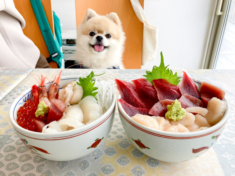 ペットと食べる海鮮丼