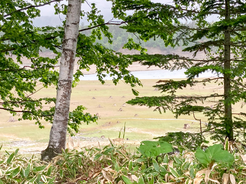 タウシュベツ川橋梁