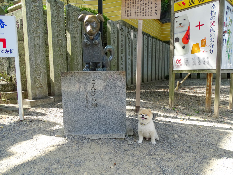 金毘羅山