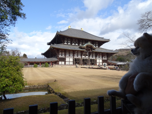 奈良公園・東大寺