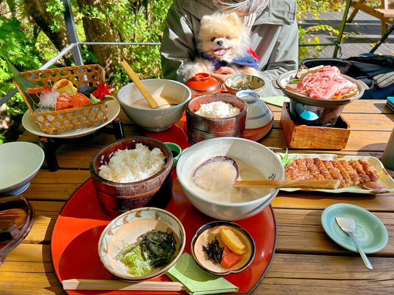 飛騨高山じねんのむら茶茶