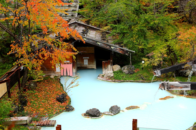 白骨温泉 泡の湯