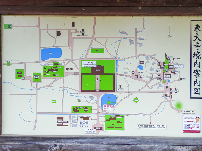 奈良公園 ペット