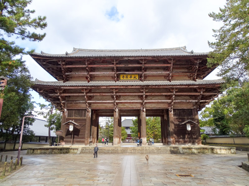 奈良公園・東大寺