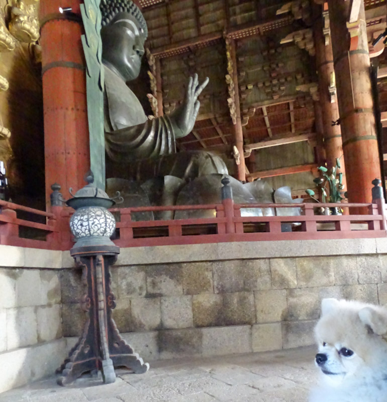 奈良公園・東大寺