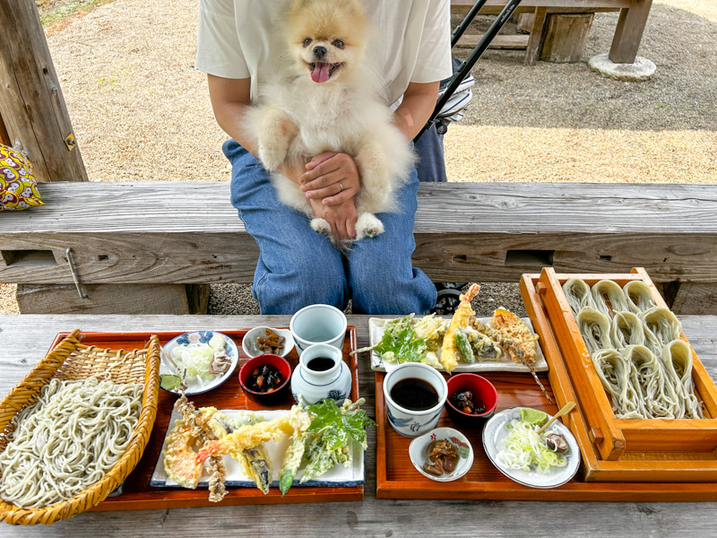 そば処まつお