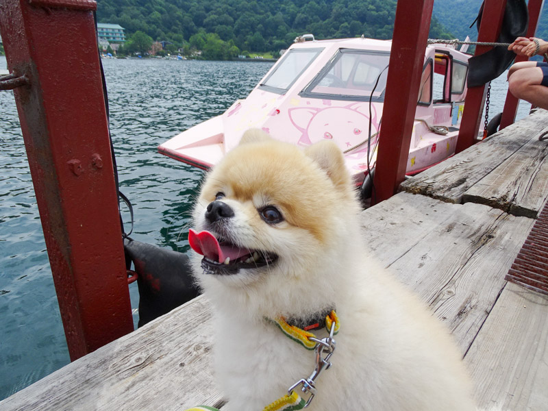 中禅寺湖