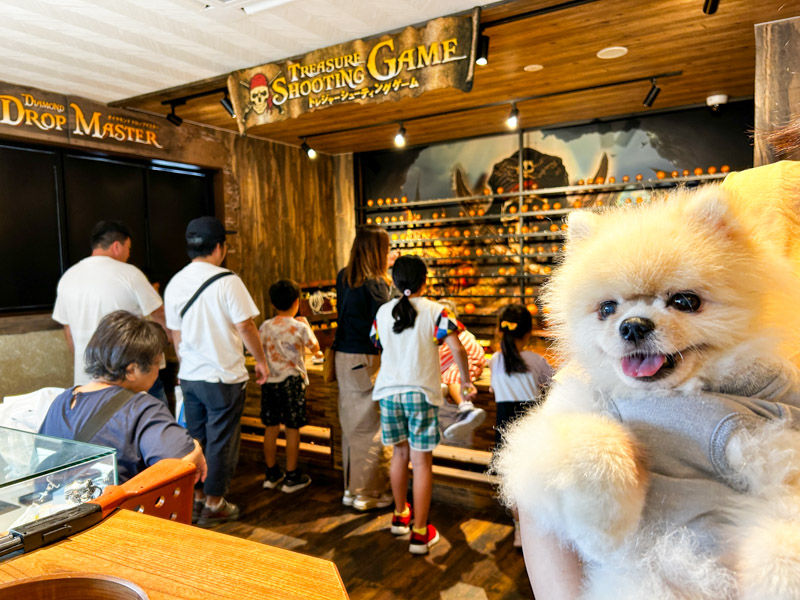 石の博物館