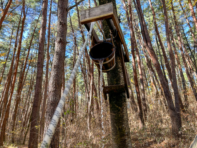 FOLKWOOD SAUNA