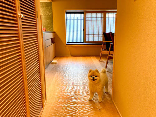 あさひの家 ドッグフレンドリー 京都四条大宮