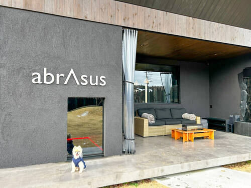 abrAsus house Fuji