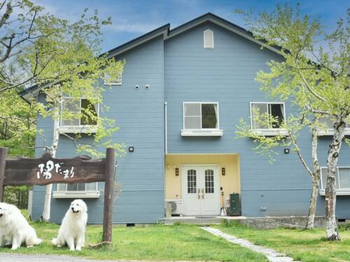 ペットと泊まる　陽だまり