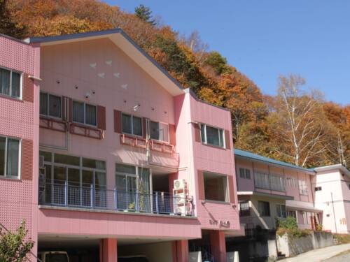 ロッヂ　白い鳥