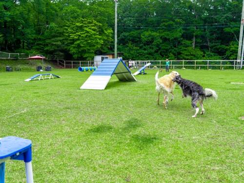 那須温泉　ホテルフォレストヒルズ那須　ｗｉｔｈ　ＤＯＧＳ