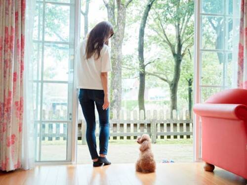 フォレストヴィラ（ハウステンボス直営）