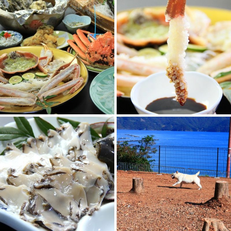 旬の新鮮魚介が自慢の宿