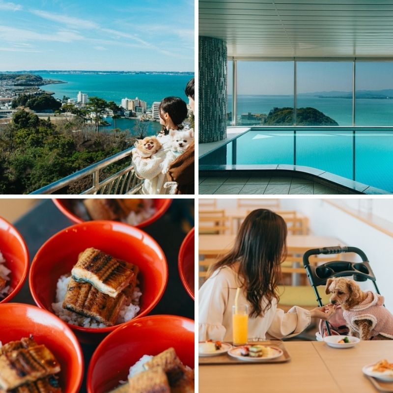 愛犬と楽しむ標高100ｍの絶景宿