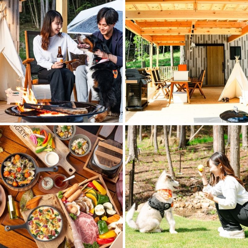 秘密基地のようなグランピング施設