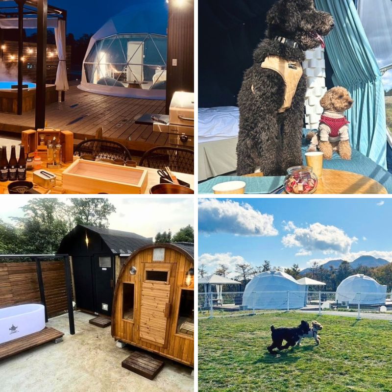 大自然の中で非日常を楽しめる宿