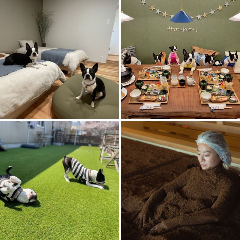 リフレッシュできる宿