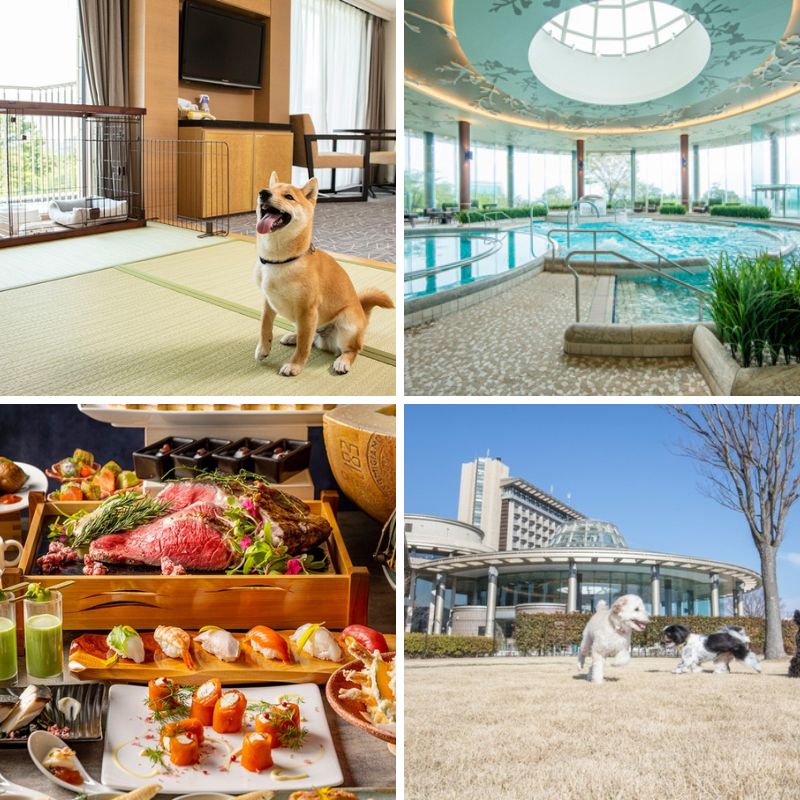 お子様＋犬連れの方にお薦めの宿