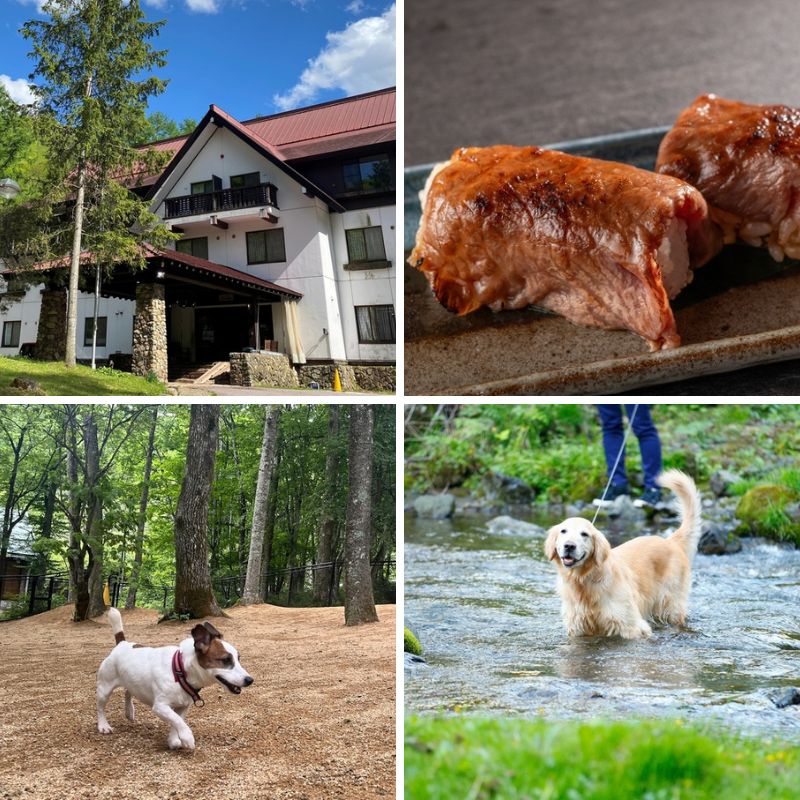 愛犬と泊まれるリゾートホテル