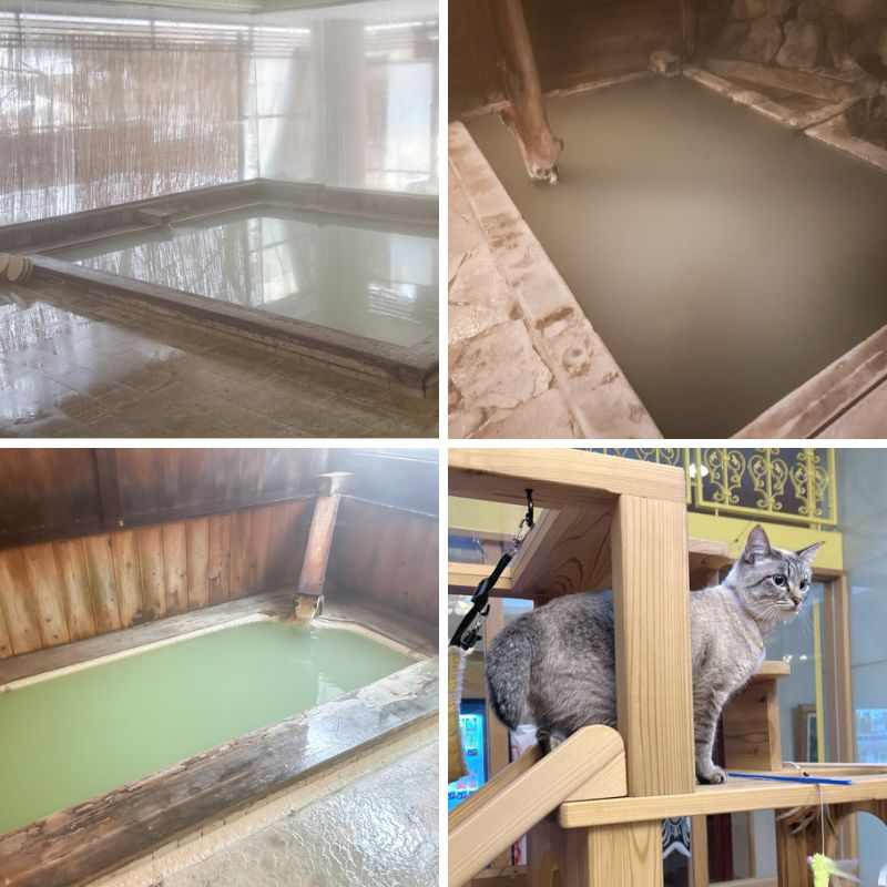 極上の硫黄泉が楽しめる宿