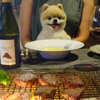 食事が美味しいペットと泊まれる宿