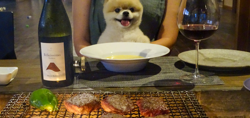 食事が美味しいペットと泊まれる宿 28選