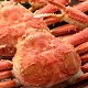 カニ料理が堪能できるペット同伴OKの宿特集